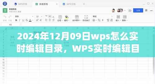 WPS实时编辑目录功能详解,操作指南与观点碰撞——2024年12月09日实战教程