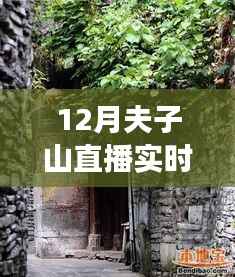 探寻夫子山深处,直播带你领略隐藏的小巷秘境与风味