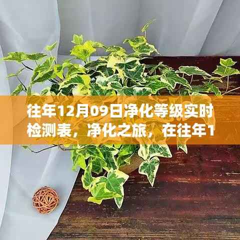 往年12月09日净化之旅,实时检测与自然美景中的心灵平和宁静探寻