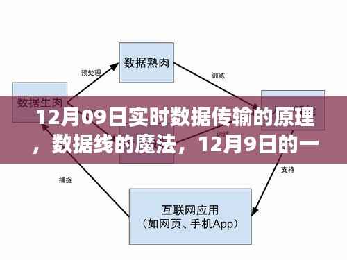 暖心数据之旅,揭秘实时数据传输原理与数据线的魔法