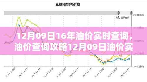 油价动态轻松掌握,12月09日油价实时查询攻略