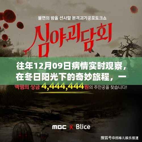 冬日阳光下疫情观察的奇妙心灵之旅