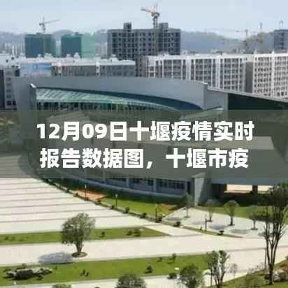 12月09日十堰市疫情实时报告数据图解析，疫情态势分析与解读