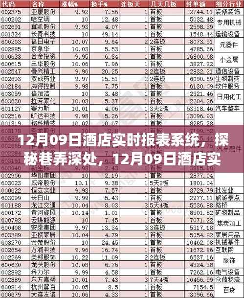 探秘巷弄深处的酒店实时报表系统,揭秘背后的独特故事(12月09日)