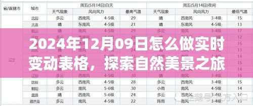探索自然美景之旅,如何于2024年12月09日制作实时变动表格,寻找心灵宁静港湾与实时数据更新技巧