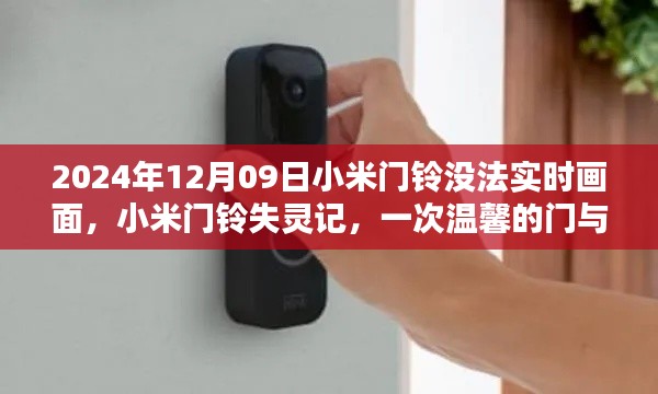 小米门铃失灵记,技术与情感的碰撞挑战实时画面功能