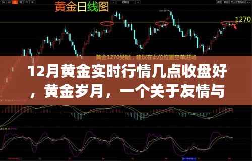 黄金岁月，友情与收盘的神秘时刻，黄金实时行情揭秘