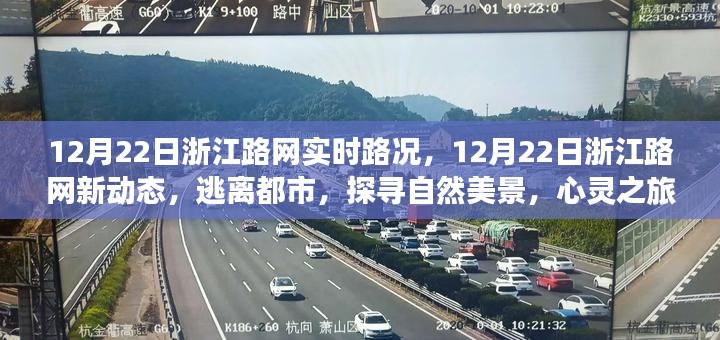 百不得一 第4页