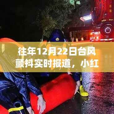 历年12月22日台风震撼实时报道,风雨中的坚守与温情故事,小红书带你直击台风颤抖瞬间💪