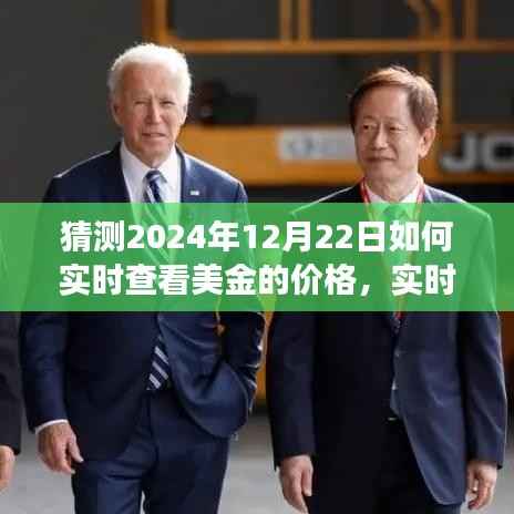 以2024年视角实时查看美金价格,预测、可能性与挑战