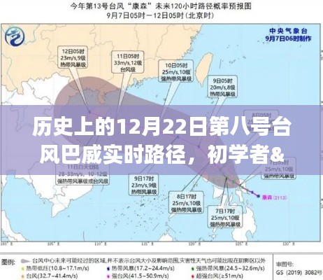 历史上的第8号台风巴威实时路径解析与查询,初学者与进阶用户指南