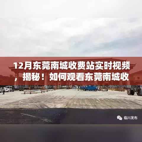 揭秘东莞南城收费站实时视频,观看指南与实用教程