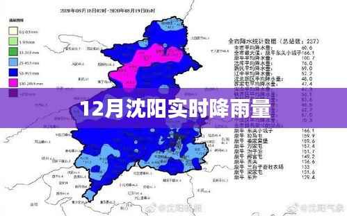 沈阳实时降雨数据播报