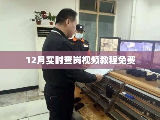 12月实时查岗视频教程,免费学习查岗技巧