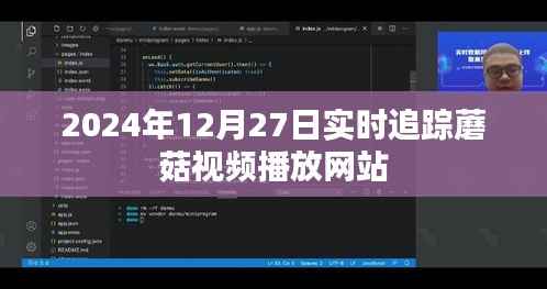 2024年蘑菇视频播放网站实时追踪报道