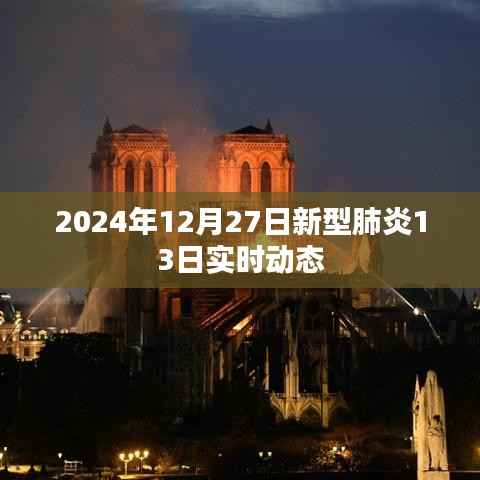 2024年新型肺炎实时动态更新