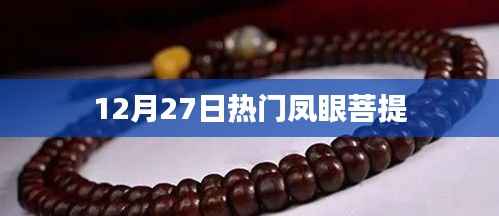 凤眼菩提大热,12月27日最新资讯