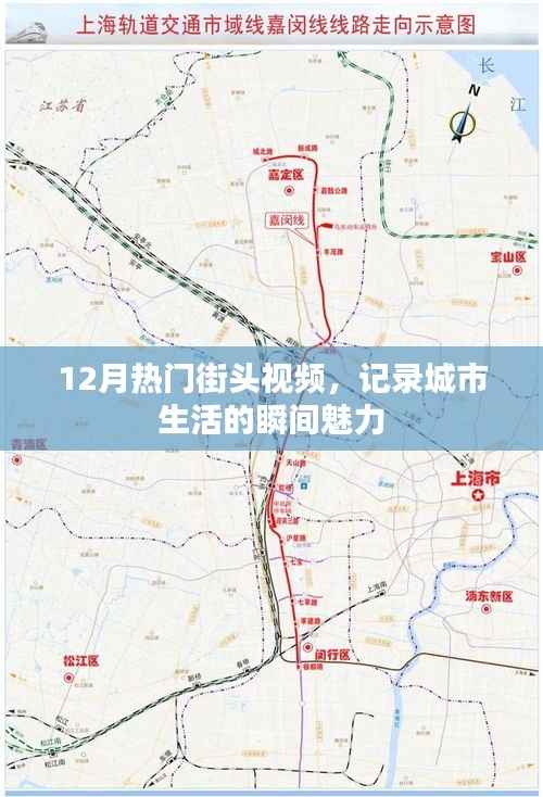 街头魅力瞬间,十二月城市生活热门视频