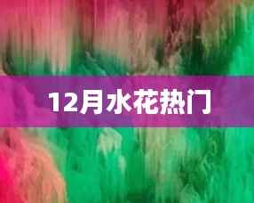 水花狂欢季,12月热门活动盘点