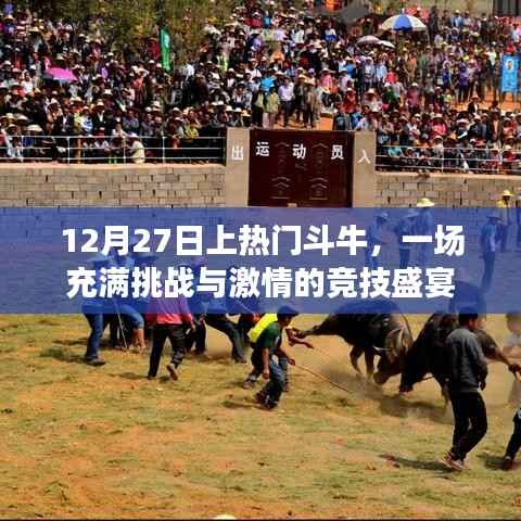 12月27日斗牛盛宴,挑战激情,竞技狂欢