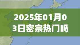 密宗趋势,揭秘热门密宗文化