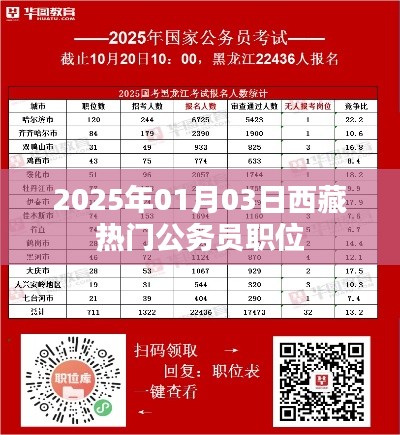 西藏热门公务员职位,了解报名与趋势分析(2025年)