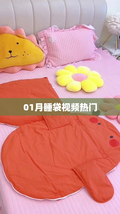 热门睡袋视频,教你如何正确使用!