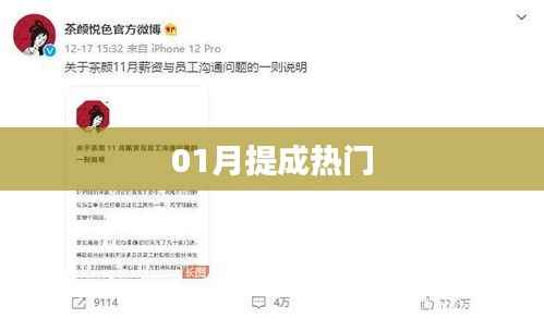 热门一月提成揭秘