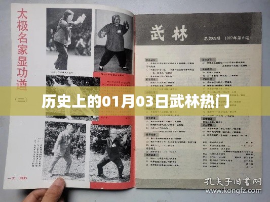 武林风云历史,一月三日武林大事件回顾