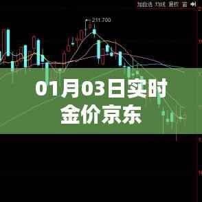 实时金价京东动态更新,最新金价查询