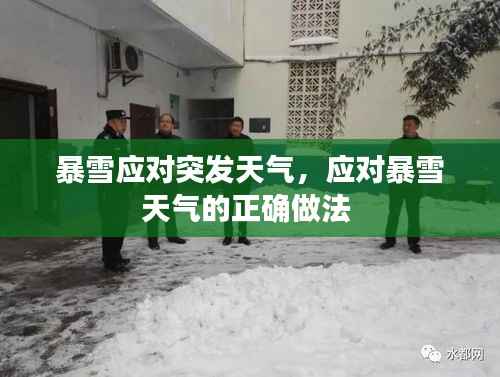 暴雪应对突发天气,应对暴雪天气的正确做法