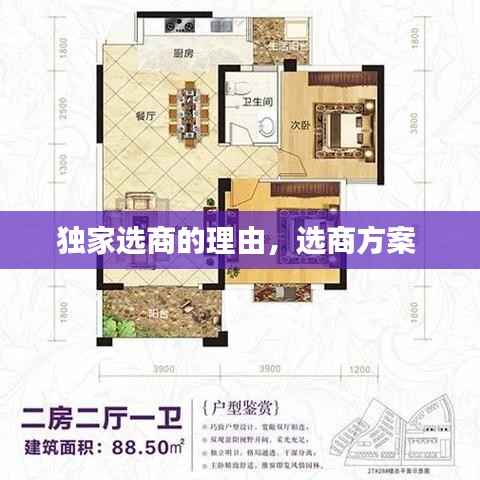 独家选商的理由,选商方案