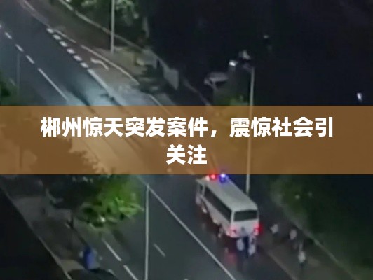 郴州惊天突发案件,震惊社会引关注