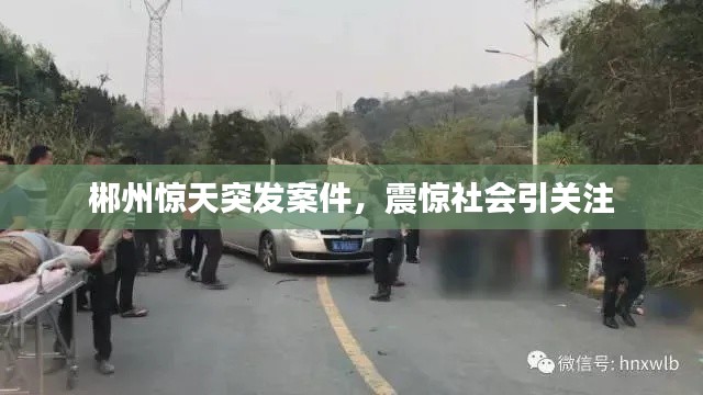 郴州惊天突发案件,震惊社会引关注