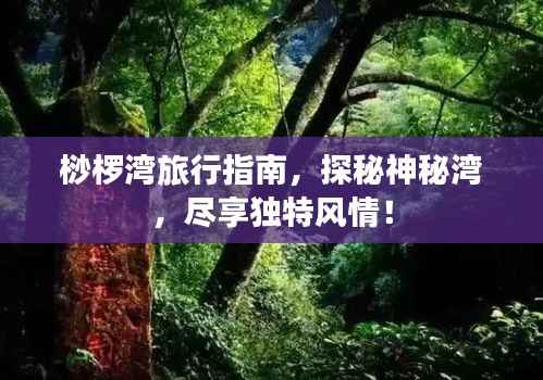 桫椤湾旅行指南,探秘神秘湾,尽享独特风情!