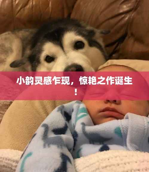 鸟啼花落 第3页