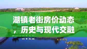 湖镇老街房价动态,历史与现代交融的房地产最新走势