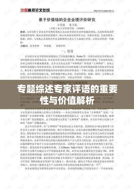 专题综述专家评语的重要性与价值解析