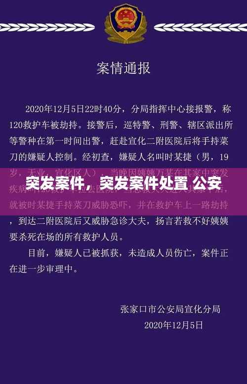突发案件,突发案件处置 公安