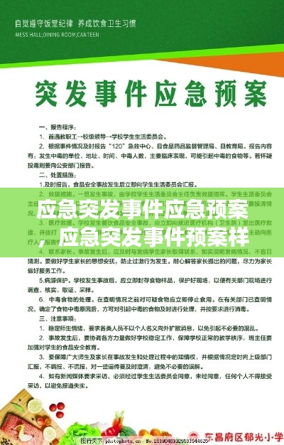 应急突发事件应急预案,应急突发事件预案样本
