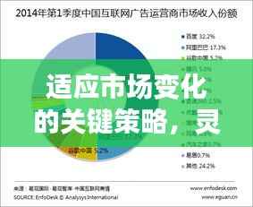 适应市场变化的关键策略,灵活调整营销方案,持续创新引领潮流