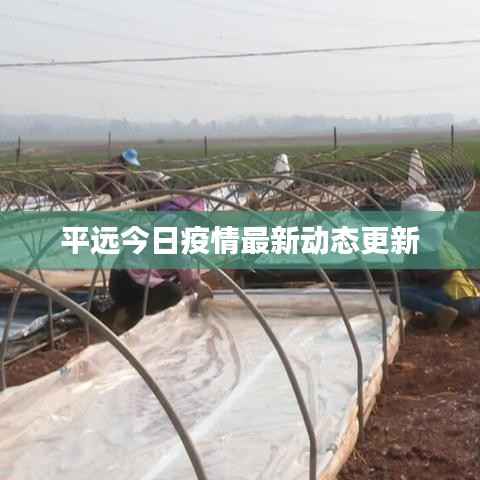 平远今日疫情最新动态更新
