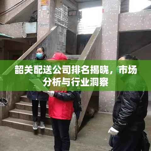 韶关配送公司排名揭晓,市场分析与行业洞察