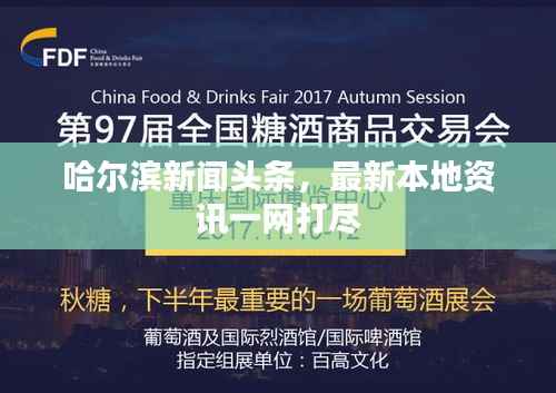 哈尔滨新闻头条,最新本地资讯一网打尽