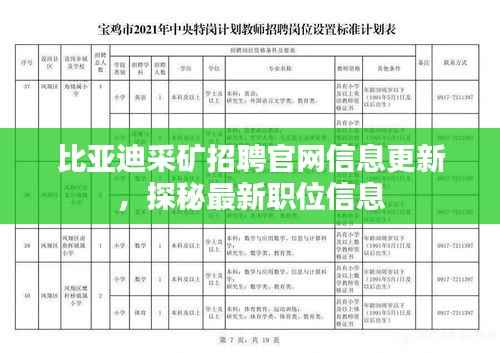 比亚迪采矿招聘官网信息更新,探秘最新职位信息