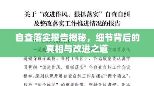 自查落实报告揭秘,细节背后的真相与改进之道