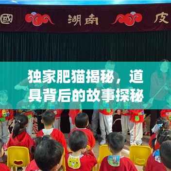 独家肥猫揭秘,道具背后的故事探秘