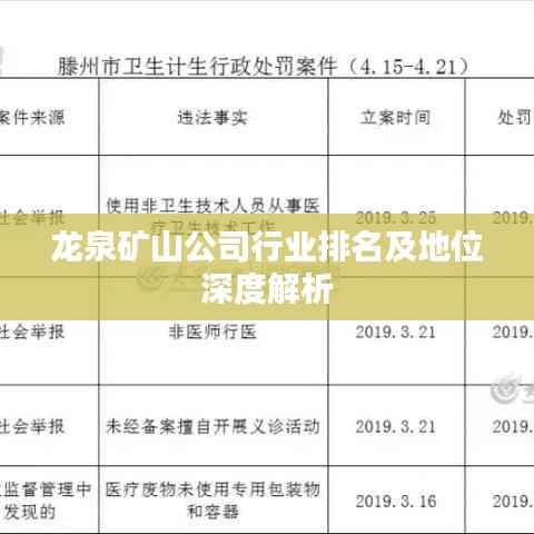 龙泉矿山公司行业排名及地位深度解析
