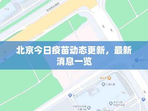 北京今日疫苗动态更新,最新消息一览