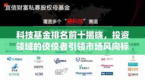科技基金排名前十揭晓,投资领域的佼佼者引领市场风向标